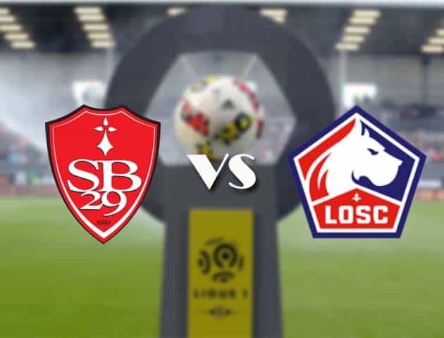 Soi kèo nhà cái Bk8vn Brest vs Lille, 8/11/2020 - VĐQG Pháp [Ligue 1]